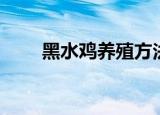 黑水鸡养殖方法（如何养殖黑水鸡）