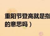 重阳节登高就是指爬山吗（重阳节登高是爬山的意思吗）