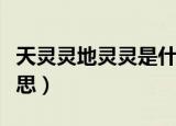 天灵灵地灵灵是什么意思（天灵灵地灵灵的意思）