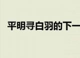 平明寻白羽的下一句（下一句没在石棱中）