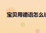 宝贝用德语怎么说（德语里宝贝是什么）
