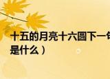 十五的月亮十六圆下一句怎么说（十五的月亮十六圆的歌词是什么）