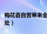 梅花香自苦寒来全诗句（梅花香自苦寒来的出处）
