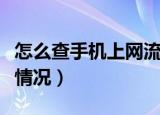 怎么查手机上网流量（如何查询手机上网流量情况）