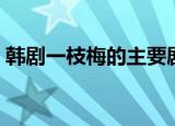韩剧一枝梅的主要剧情（讲述的是什么故事）