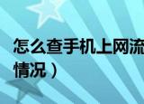 怎么查手机上网流量（如何查询手机上网流量情况）