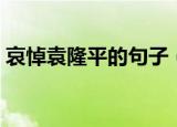 哀悼袁隆平的句子（怀念袁隆平爷爷的话语）