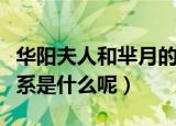 华阳夫人和芈月的关系（华阳夫人和芈月的关系是什么呢）