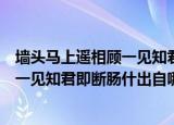 墙头马上遥相顾一见知君即断肠什么意思（墙头马上遥相顾一见知君即断肠什出自哪里）