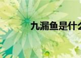九漏鱼是什么梗（九漏鱼意思）