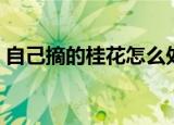 自己摘的桂花怎么处理能泡茶（桂花的功效）