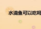 水滴鱼可以吃吗（水滴鱼能不能吃吗）