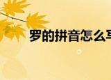 罗的拼音怎么写（罗的拼音及组词）