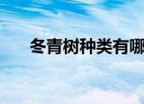 冬青树种类有哪些（冬青树种类介绍）
