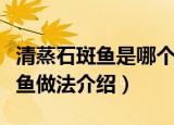清蒸石斑鱼是哪个地方的菜系名菜（清蒸石斑鱼做法介绍）