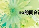 no的同音词（同音词解析）