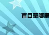 盲目草哪里最多（采集条件）