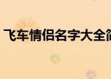 飞车情侣名字大全简单（适合飞车情侣名字）