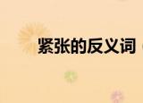 紧张的反义词（紧张的反义词列述）