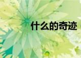 什么的奇迹（什么的奇迹填空）