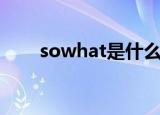 sowhat是什么意思（sowhat翻译）