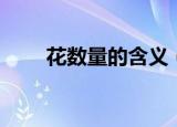 花数量的含义（花数量的含义大全）
