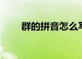 群的拼音怎么写（群的拼音及组词）