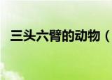 三头六臂的动物（三头六臂的动物是什么）