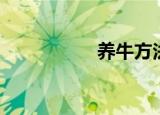 养牛方法（怎么养牛）