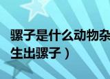 骡子是什么动物杂交而来的（什么动物杂交后生出骡子）