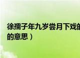 徐孺子年九岁尝月下戏的全文解释（徐孺子年九岁尝月下戏的意思）