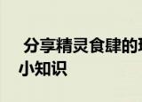  分享精灵食肆的玩法及精灵食肆的一些游戏小知识