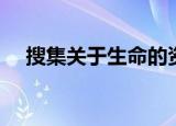 搜集关于生命的资料（有关生命的资料）