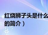 红烧狮子头是什么地方的菜（关于红烧狮子头的简介）