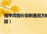 指甲周围长倒刺是因为缺乏维生素吗（指甲周围长倒刺的原因）