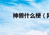 神兽什么梗（网络语神兽什么意思）
