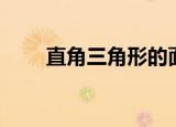 直角三角形的面积公式（你知道吗）