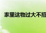 家里这物过大不招财反而漏财（你知道吗）