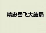精忠岳飞大结局（精忠岳飞大结局介绍）