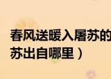 春风送暖入屠苏的屠苏指什么（春风送暖入屠苏出自哪里）