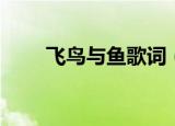飞鸟与鱼歌词（飞鸟与鱼歌词欣赏）