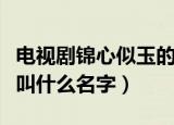 电视剧锦心似玉的原著是什么（锦心似玉小说叫什么名字）