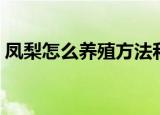 凤梨怎么养殖方法和注意事项（凤梨怎么养）