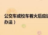 公交车或校车着火后应该怎么办（公交车或校车着火后逃生办法）