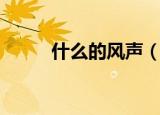 什么的风声（什么的风声拟声词）