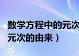 数学方程中的元次是谁创造的（数学方程中的元次的由来）