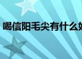 喝信阳毛尖有什么好处（喝信阳毛尖的作用）