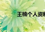 王楠个人资料（王楠个人介绍）