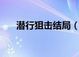 潜行狙击结局（该剧是一个什么故事）