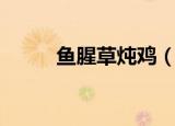 鱼腥草炖鸡（鱼腥草炖鸡的做法）